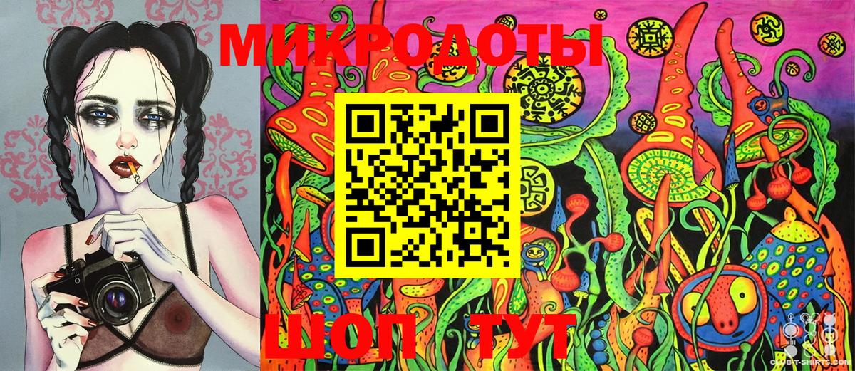 Псилоцибиновые грибы Psilocybine cubensis Красногорск